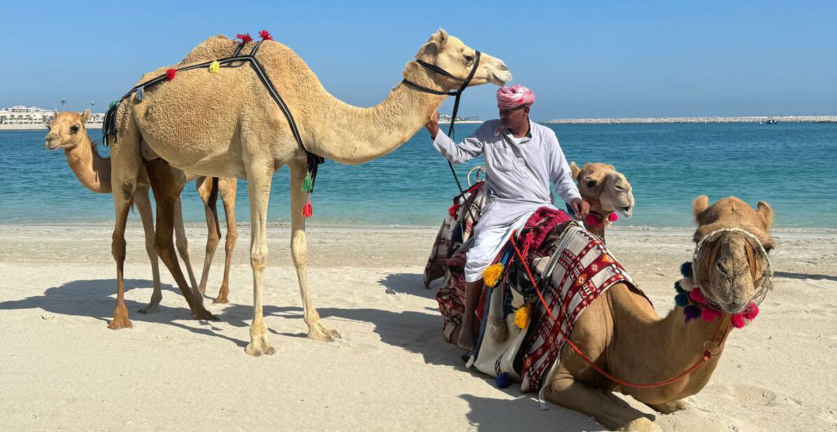 Abu dhabi air tours wueste 2 e1733845887527