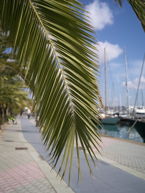 B0001138