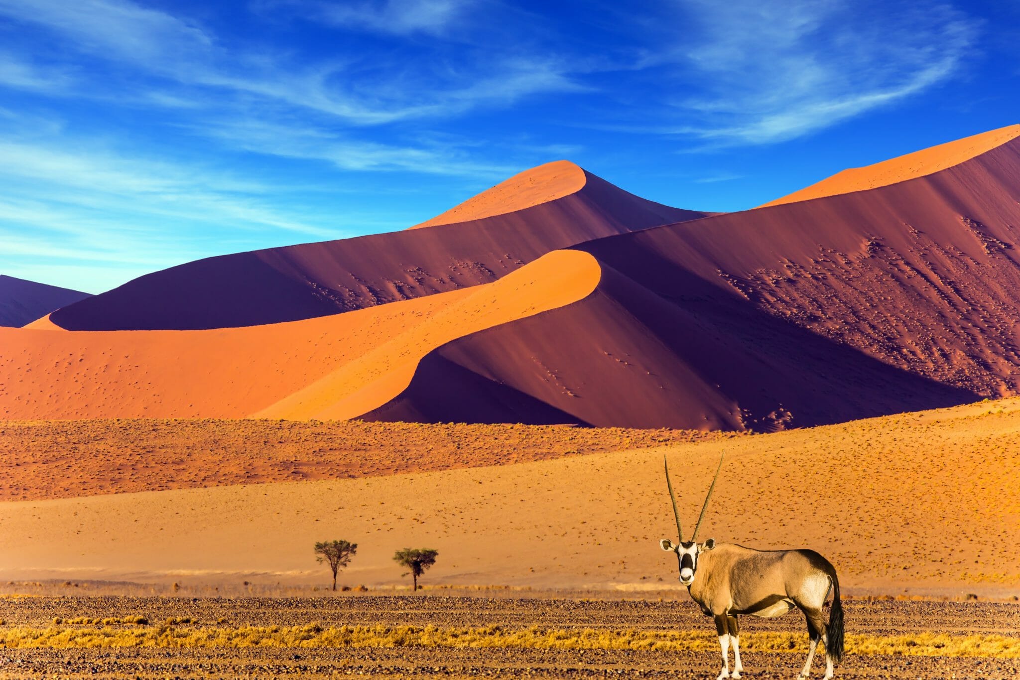 Namib Wueste shutterstock 754071406