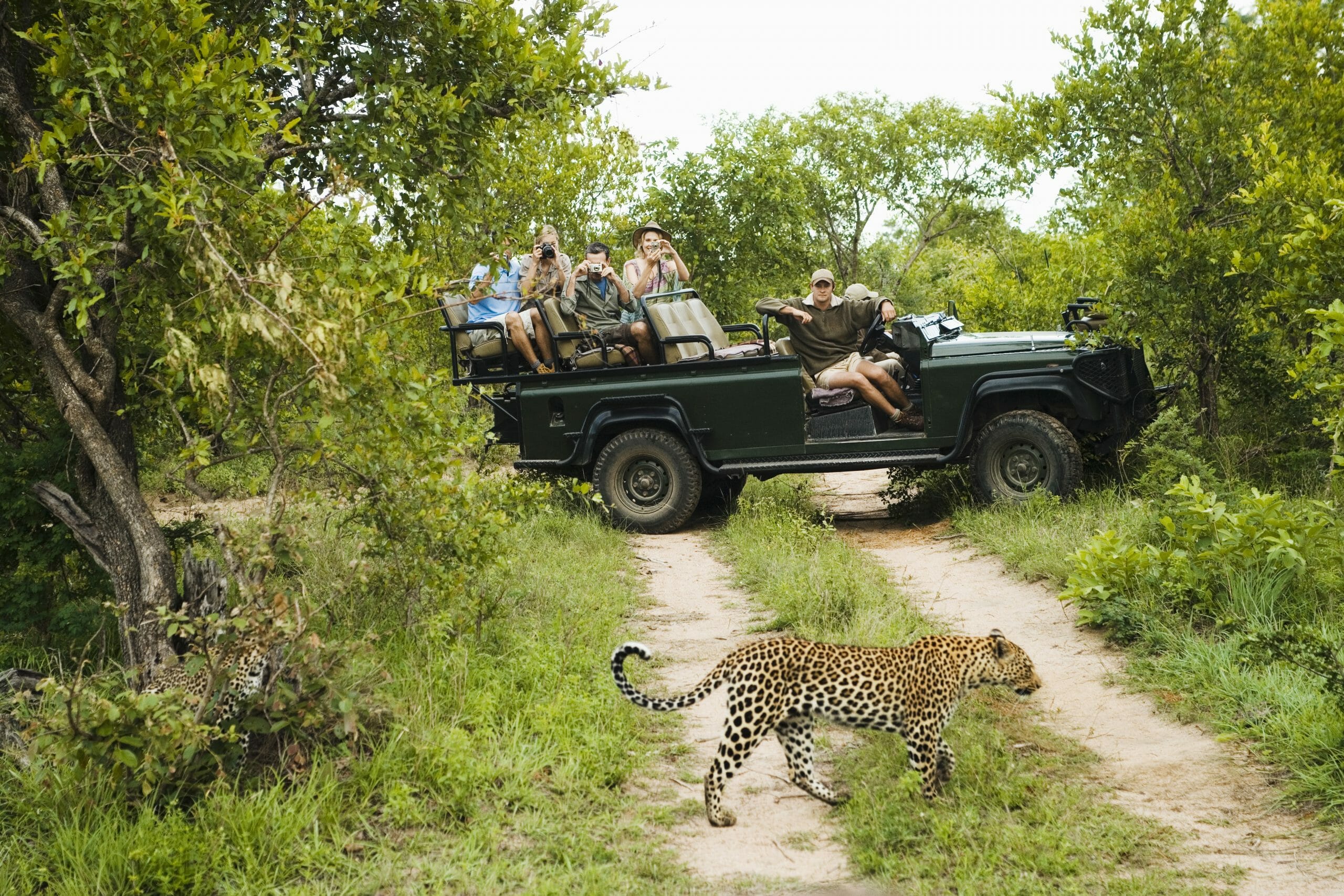 Safari Gruppenreise shutterstock 145434481