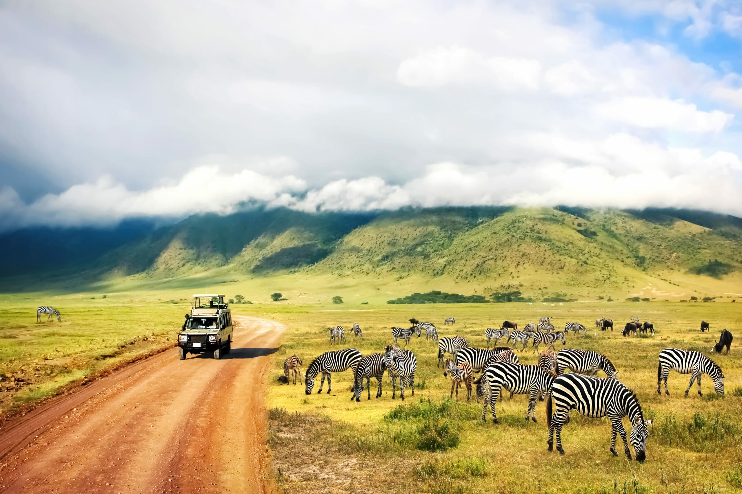 Exklusive Big Five Safari im Ngorongoro-Krater, Tansania: Ein luxuriöser Geländewagen fährt auf einer roten Sandpiste durch die beeindruckende Savannenlandschaft, während eine große Zebraherde friedlich grast. Die majestätischen, nebelverhangenen Berge im Hintergrund verleihen der Szene eine atemberaubende Atmosphäre. Diese luxuriöse Safari bietet hautnahe Begegnungen mit Afrikas faszinierender Tierwelt – von Zebras und Gnus bis hin zu Elefanten, Löwen und weiteren Mitgliedern der Big Five. Buchbar in Weinstadt Endersbach Beutelsbach Weiblingen