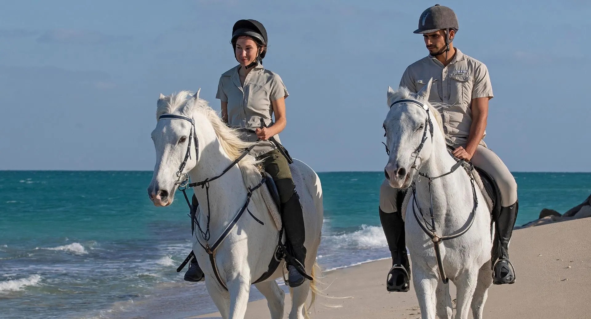 aaly horse riding abu dhabi