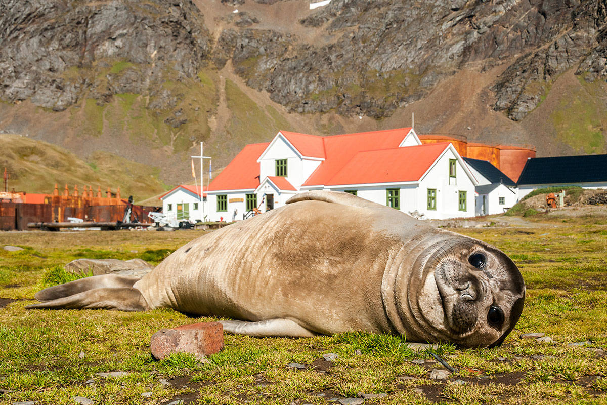 csm 006Grytviken004 a72ded7cec