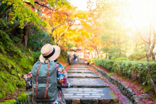 Tourist,Is,Traveling,And,Sightseeing,In,The,Park,During,Autumn shutterstock 1180765774 scaled 500x0 c default