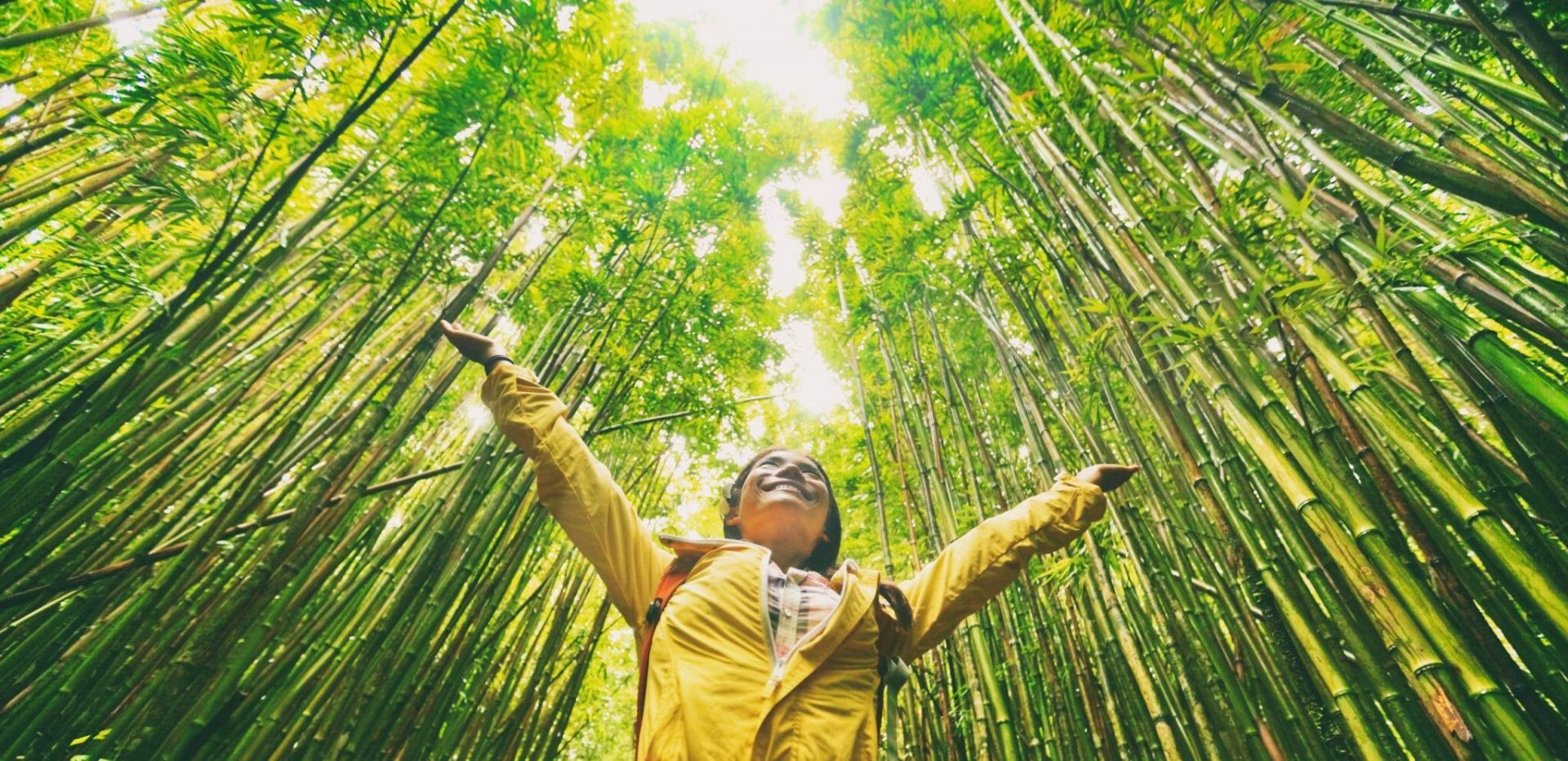 Sustainable,Eco Friendly,Travel,Tourist,Hiker,Walking,In,Natural,Bamboo,Forest shutterstock 1409807114 scaled