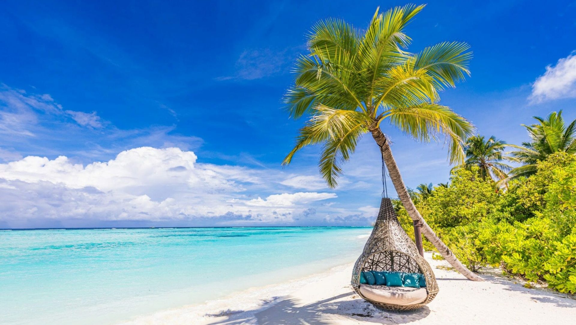 shutterstock 1499547938 scaled e1648208310900