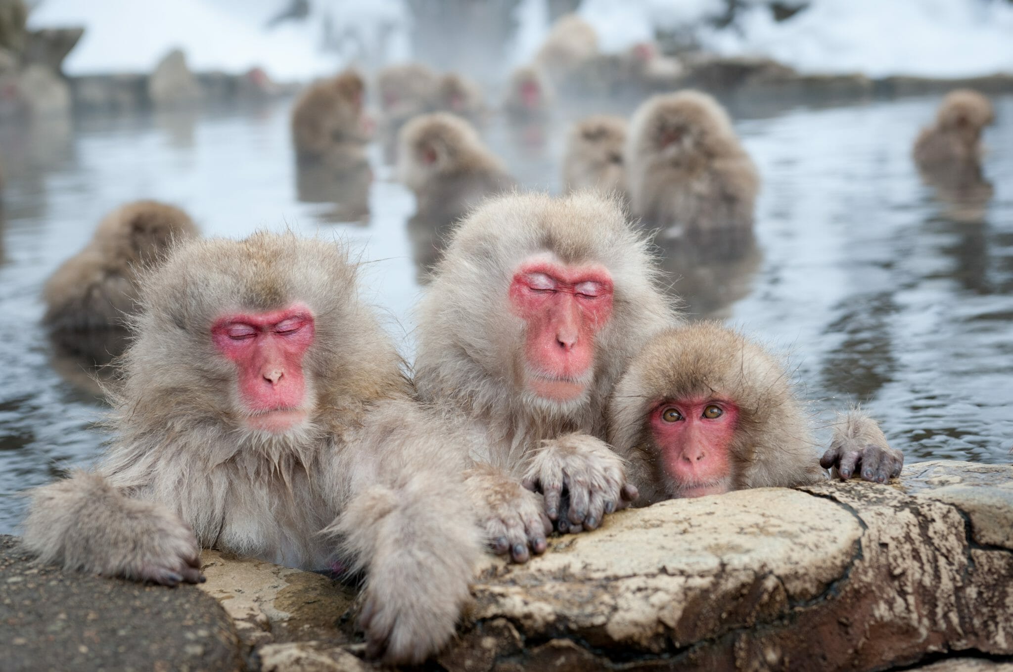 shutterstock 69531988