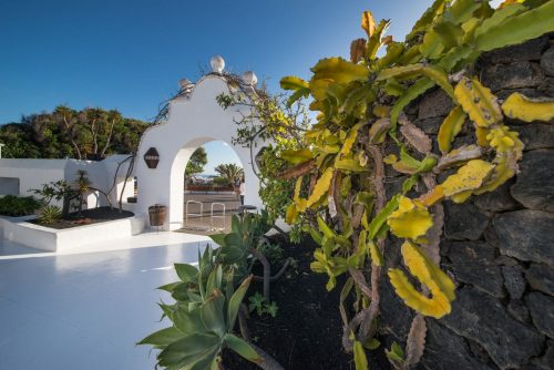 Beautiful,Cactus,At,The,Entrance,To,The,Cesar,Manrique,House