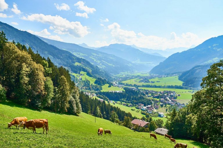 Shutterstock 1336343717 2