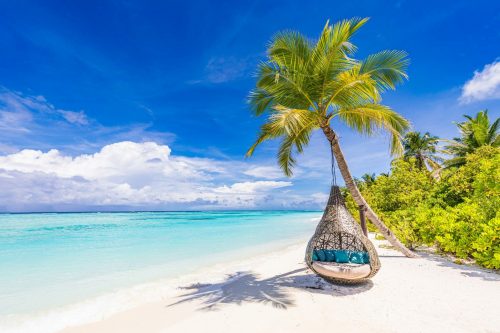 Tropical,Beach,Background,As,Summer,Landscape,With,Beach,Swing,Or