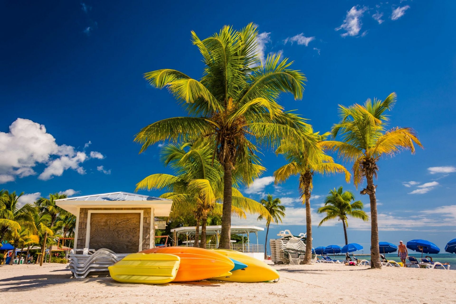 Palm,Trees,On,The,Beach,In,Key,West,,Florida.