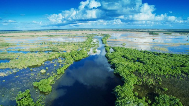 Aerial,Sunset,View,Of,Everglades,Swamp,In,Florida.