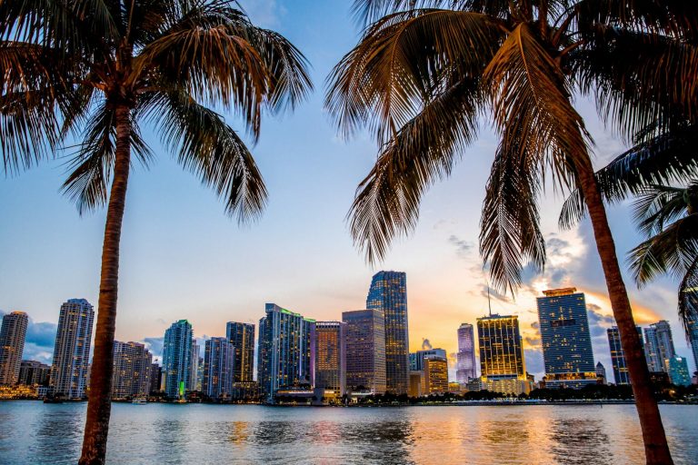 Miami,,Florida,Skyline,And,Bay,At,Sunset,Seen,Through,Palm