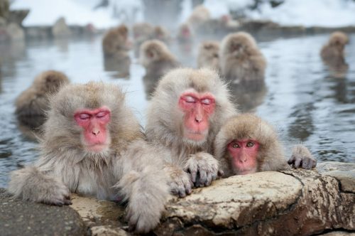 Shutterstock 69531988